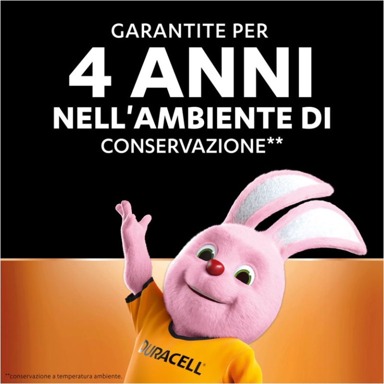 BATTERIE DA 13 ACUSTICA  6PZ DURACELL 2