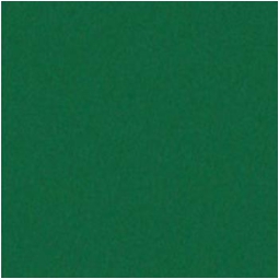 ROTOLO PLASTICA ADESIVO 45CMX2MT VERDE