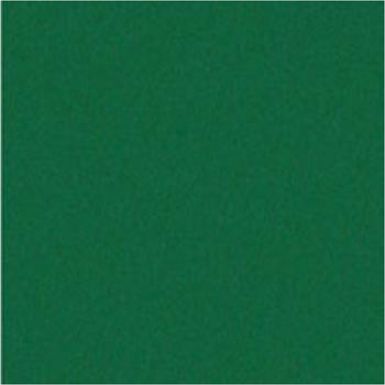 ROTOLO PLASTICA ADESIVO 45CMX2MT VERDE