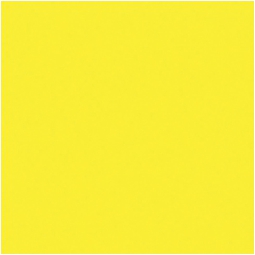 ROTOLO REX 49CMX5MT GIALLO LAVABILE