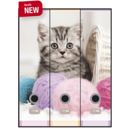 SET 3 REGISTRATORI 8CM   KITTY CARDEA