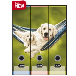 SET 3 REGISTRATORI 8CM   PUPPIES CARDEA