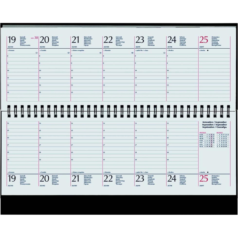 PLANNING SETTIMANALE 29X12CM SPIRALATO CARIBE 2