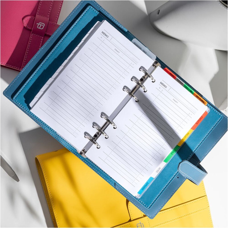 ORGANIZER 9,5X17 PELLE CON LACCIO ELEGANCE 5234EG 5