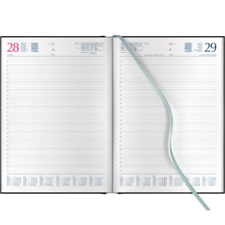 AGENDA GIORNALIERA 21X29 A4 GOMMATO SAB/DOM SEPAR 2