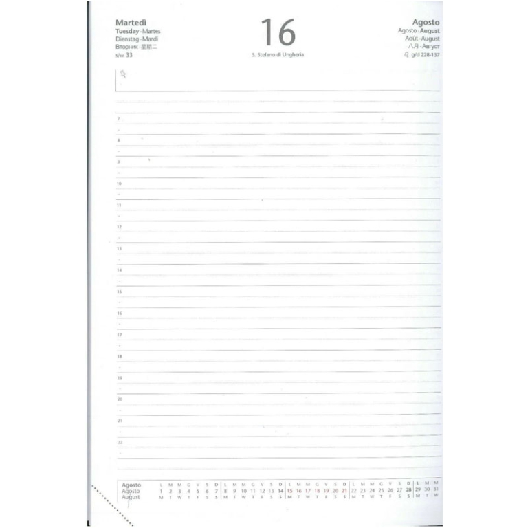 RICAMBIO AGENDA GIORNALIERO 15X21 CARTONCINO 2