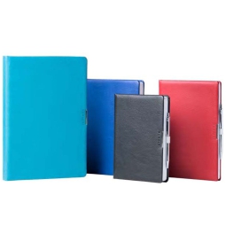 AGENDA GIORNALIERA 17X24 7141AN ANYTIME ECOPELLE