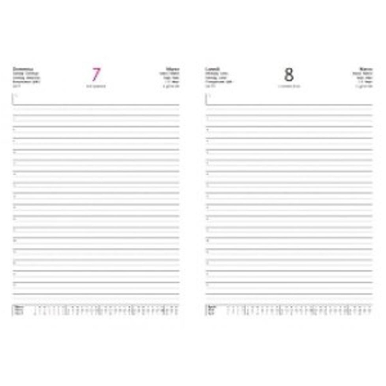AGENDA GIORNALIERA 17X24 TEXT SAB/DOM SEPARATI 3