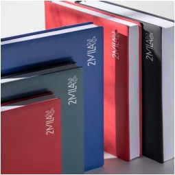 AGENDA GIORNALIERA 21X30 A4 7145MQ MAGIQUE