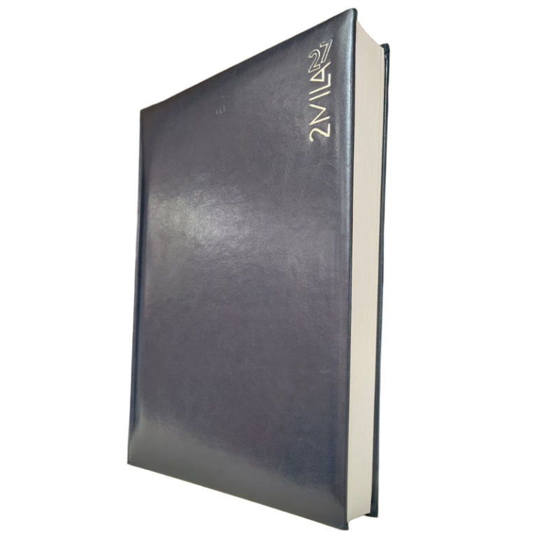 AGENDA GIORNALIERA 21X30CM BOOKING MEGA 2PAG GIORNO 2