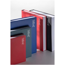AGENDA GIORNALIERA 21X30 A4 2 PAGINE PER GIORNO