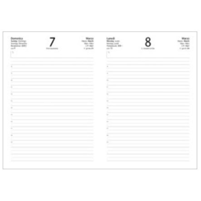 AGENDA GIORNALIERA 9X13 ELASTICO PAPERART WINGS 2