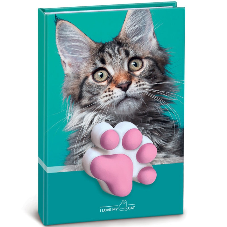 NOTES SQUISHY GATTO 10X15CM FANTASIE ASSORTITE 2