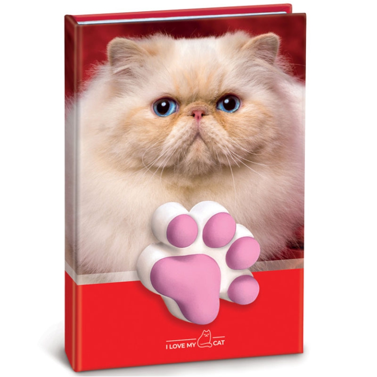 NOTES SQUISHY GATTO 10X15CM FANTASIE ASSORTITE 3