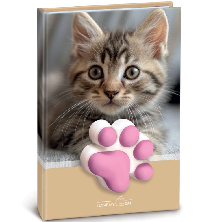 NOTES SQUISHY GATTO 10X15CM FANTASIE ASSORTITE 5