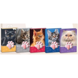 NOTES SQUISHY GATTO 12PZ STAMPATO A SEZIONI