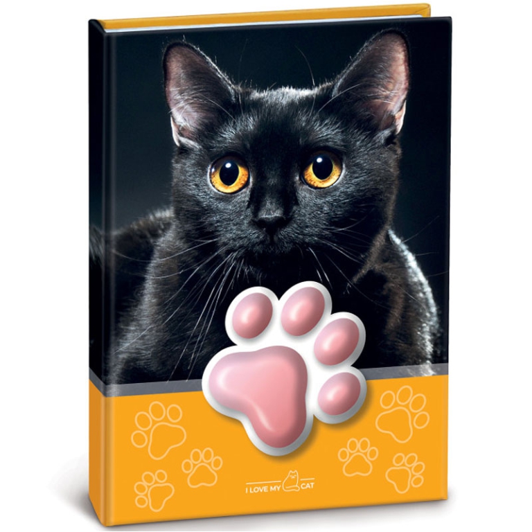NOTES SQUISHY GATTO 13X18CM STAMPATO A SEZIONI 2