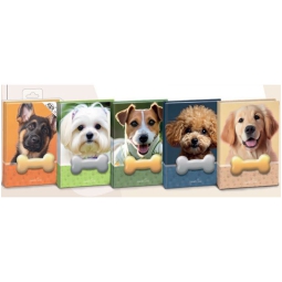 NOTES SQUISHY CANE 12PZ  A SEZIONI STAMPATO