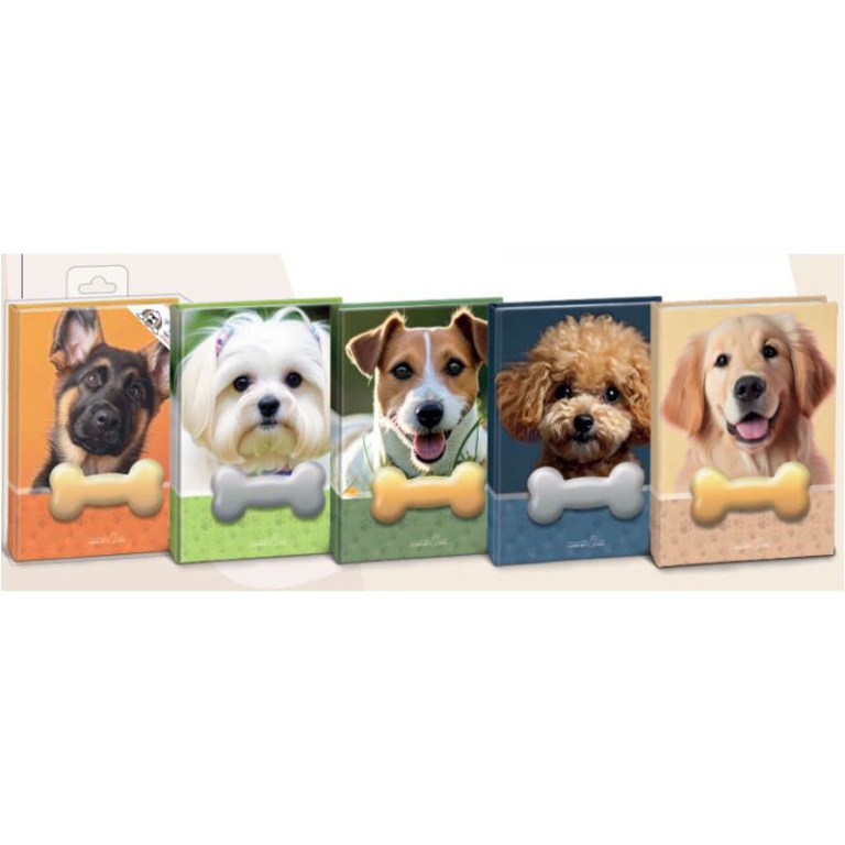 NOTES SQUISHY CANE 12PZ  A SEZIONI STAMPATO