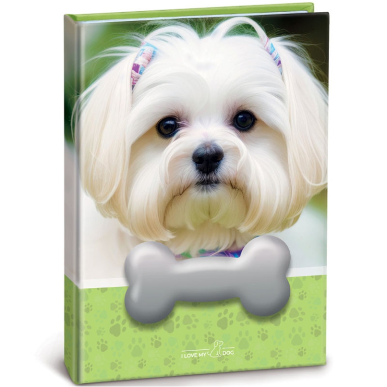 NOTES SQUISHY CANE 13X18CM A SEZIONI STAMPATO 2