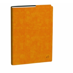 AGENDA UNIVERSITAIRE 10X15 12M ROMA GIALLO QVADIS