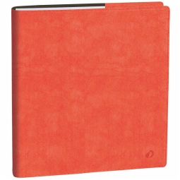 AGENDA ESECUTIVO 16X16   ROMA ROSA QUO VADIS