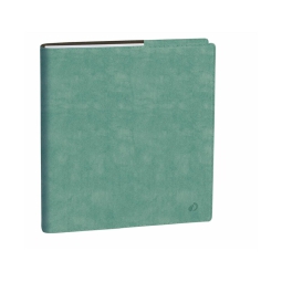 AGENDA ESECUTIVO 16X16   ROMA VERDE ALTEZZA QUO VADIS