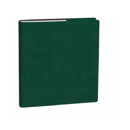 AGENDA ESECUTIVO 16X16   ROMA VERDE I QUO VADIS