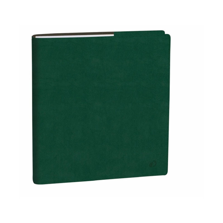 AGENDA ESECUTIVO 16X16   ROMA VERDE I QUO VADIS