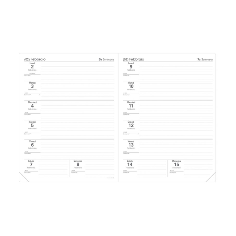 AGENDA PROFESSORE 21X27 12M IMPALA QUOVADIS 2