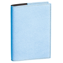 AGENDA PROFESSORE 21X27 12M CLUB AZZURRO QUO VADIS