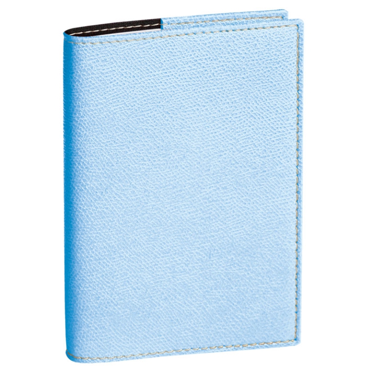 AGENDA PROFESSORE 21X27 12M CLUB AZZURRO QUO VADIS