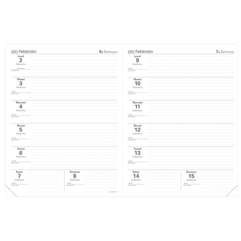 AGENDA PROFESSORE 21X27 12M CLUB AZZURRO QUO VADIS 2