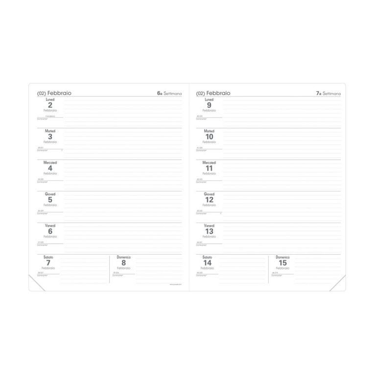 AGENDA PROFESSORE 21X27 12M CLUB LAMPONE QUO VADIS 2