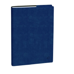 AGENDA PROFESSORE 21X27 12M ROMA BLU QUOVADIS