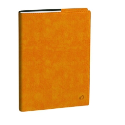 AGENDA PROFESSORE 21X27 12M ROMA GIALLO QUOVADIS