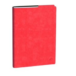 AGENDA PROFESSORE 21X27 12M ROMA ROSA QUOVADIS