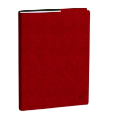 AGENDA PROFESSORE 21X27 12M ROMA ROSSO QUOVADIS