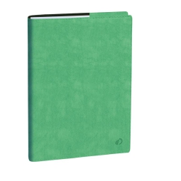 AGENDA PROFESSORE 21X27 12M ROMA VERDE ALTEZZA QUOVADIS