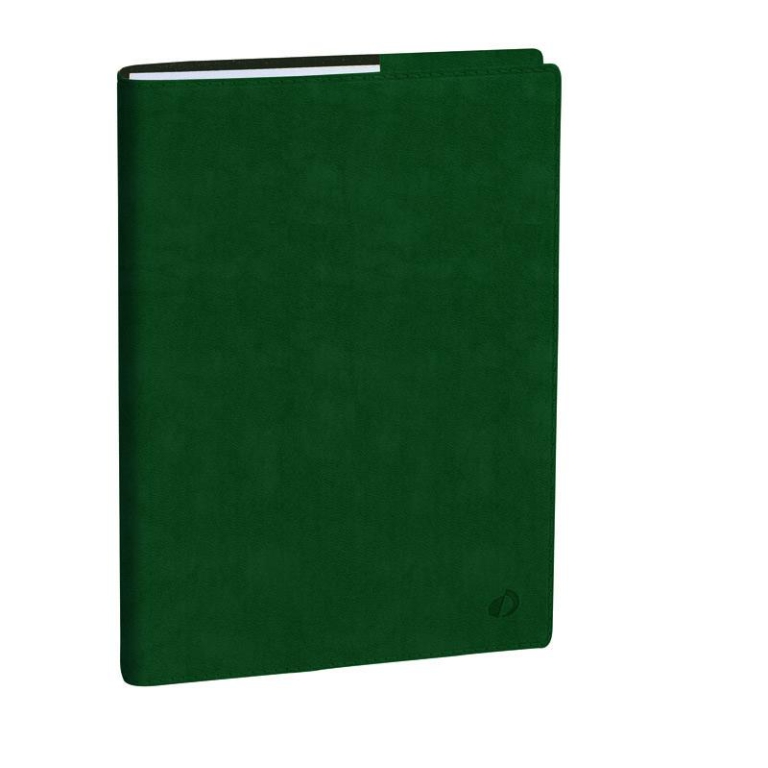 AGENDA PROFESSORE 21X27 12M ROMA VERDE I QUOVADIS