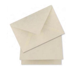 BIGLIETTI 12X17 10PZ     CARTA GELSO NATURA