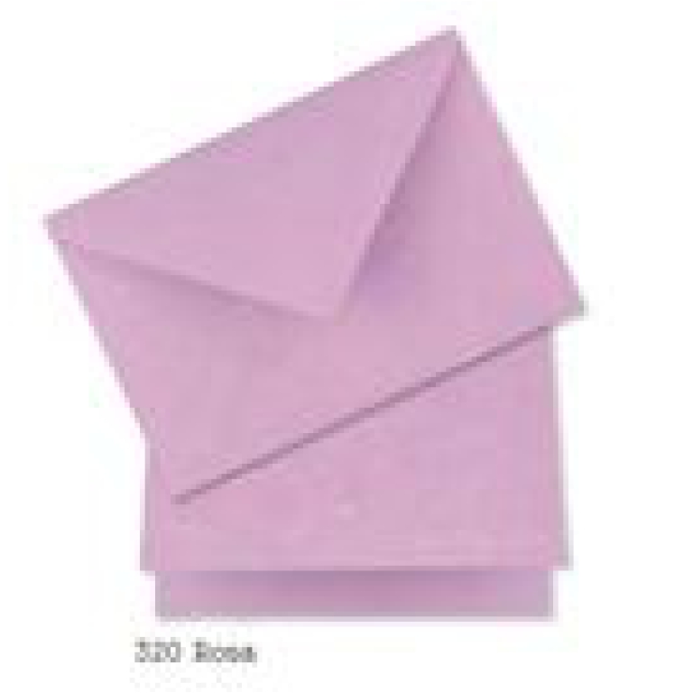 BIGLIETTI 12X17 10PZ     CARTA GELSO ROSA