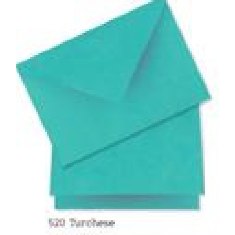 BIGLIETTI 12X17 10PZ     CARTA GELSO TURCHESE
