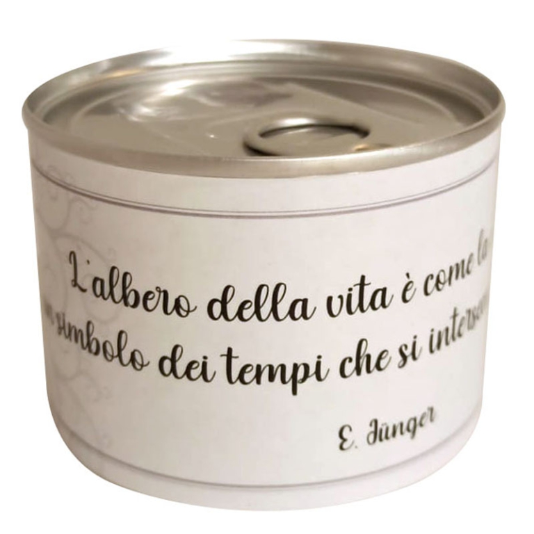 LATTA PORTAOGGETTI 6PZ   ALBERO VITA