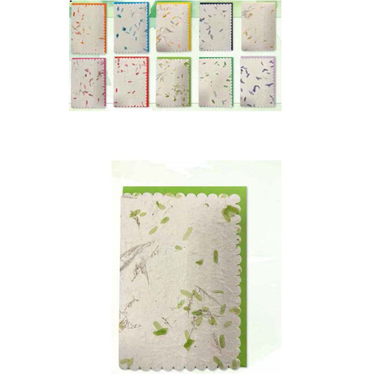 BIGLIETTI AUGURI 10PZ    CARTA PROVENCE SOGGETTI ASSORTITI