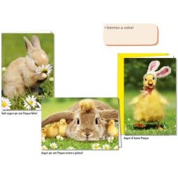 BIGLIETTI AUGURI 12PZ 13X18 PASQUA FOTOGRAFICO