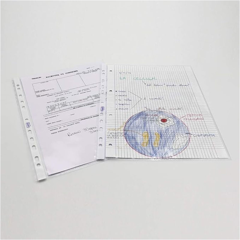 BUSTE PLASTICA FORATE 22X30 13/100 LISCE SUPERIOR 500PZ 5