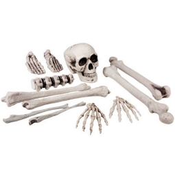 SET 12PZ SCHELETRO 42CM