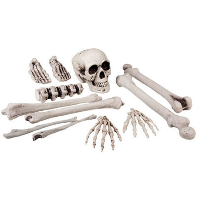 SET 12PZ SCHELETRO 42CM