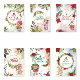 BIGLIETTI NATALE 12X17CM CHROMO THERAPY 12PZ